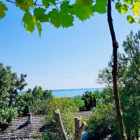 A Lugas - The Pergola Revfulop